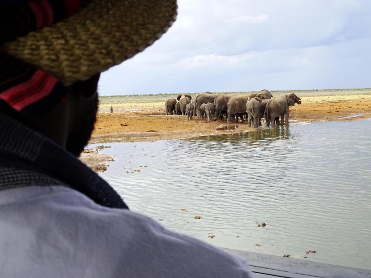 Etosha King Nehale Villa Omuthiya Exterior photo